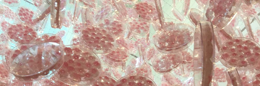 Esther Tanaka banner