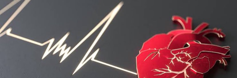 Splendid Dreamer banner