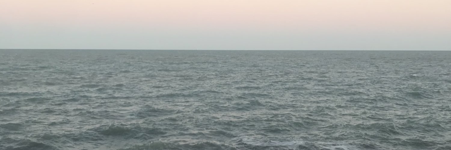 BrisaPinget's profile banner image