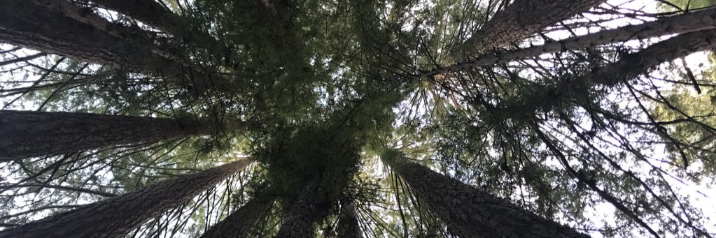 benswords's profile banner image
