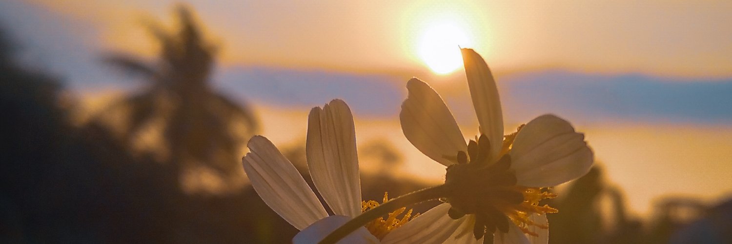 kenn15rin's profile banner image