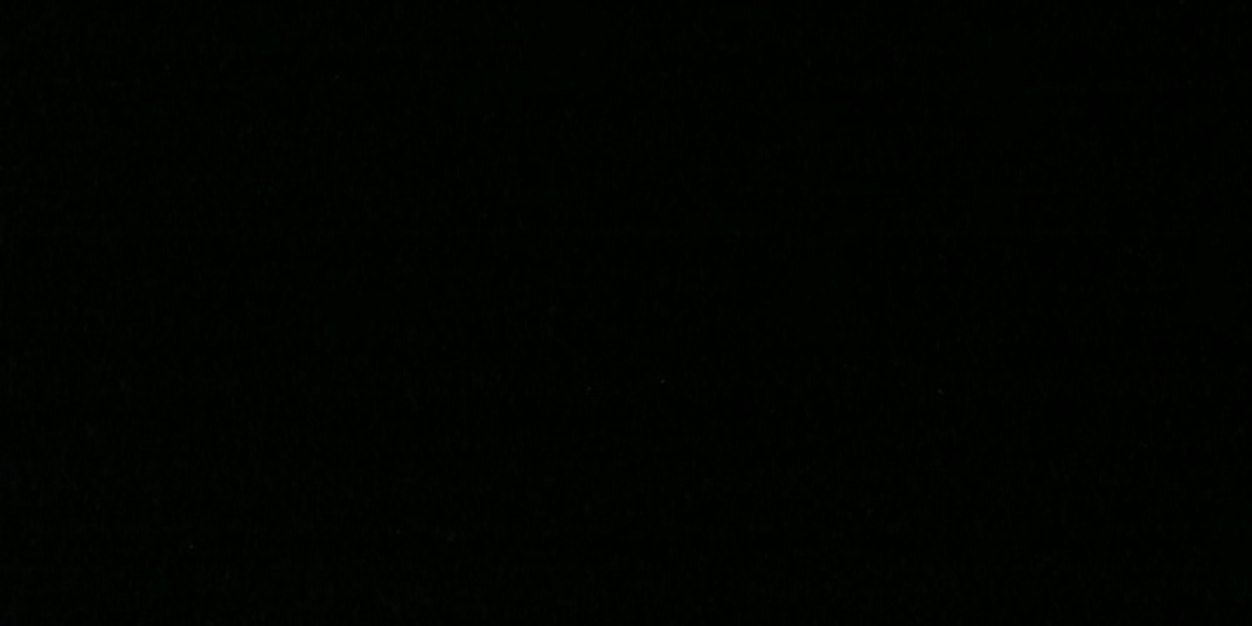 danielle_vets's profile banner image