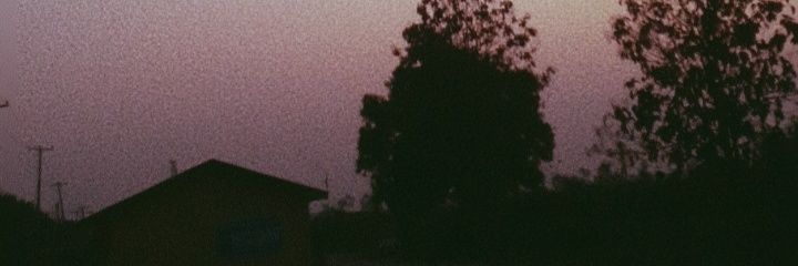 Mo~ni banner