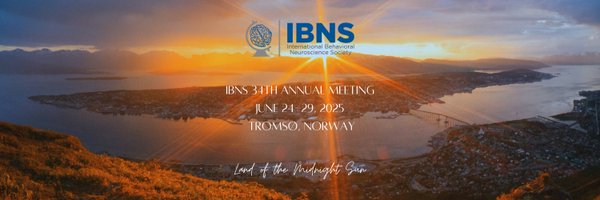 IBNSconnect Profile Banner