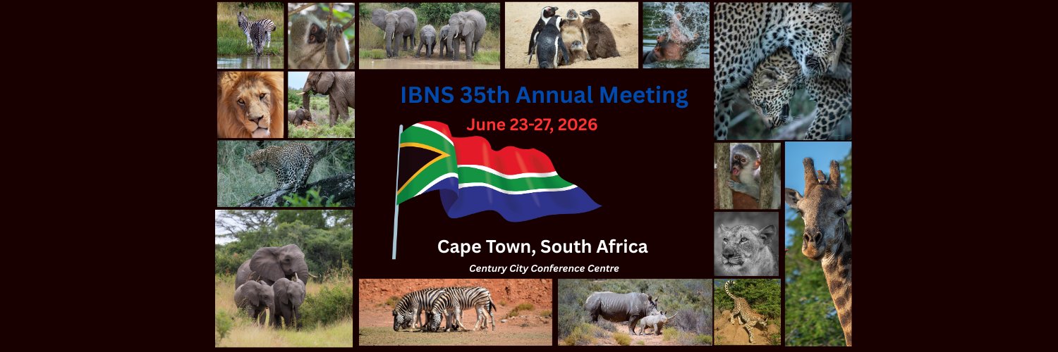 IBNS banner