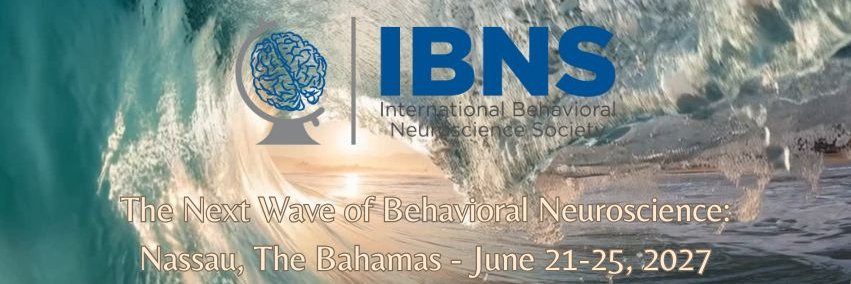 IBNSconnect's profile banner image