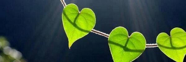 Premiumworld Profile Banner