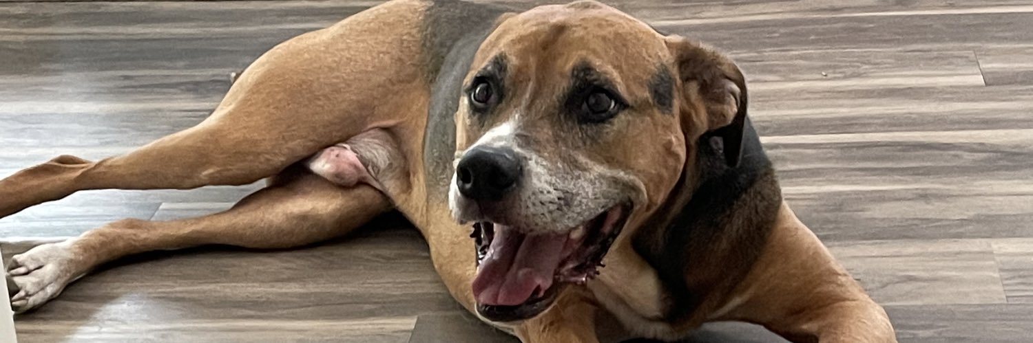 Ashley Robbins banner