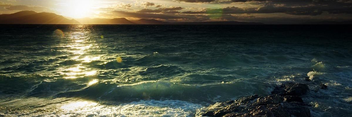 Bruno 🐈‍⬛🇵🇱🇺🇸🏒 banner