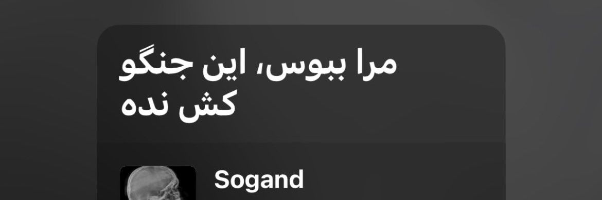 blank🇮🇷 banner