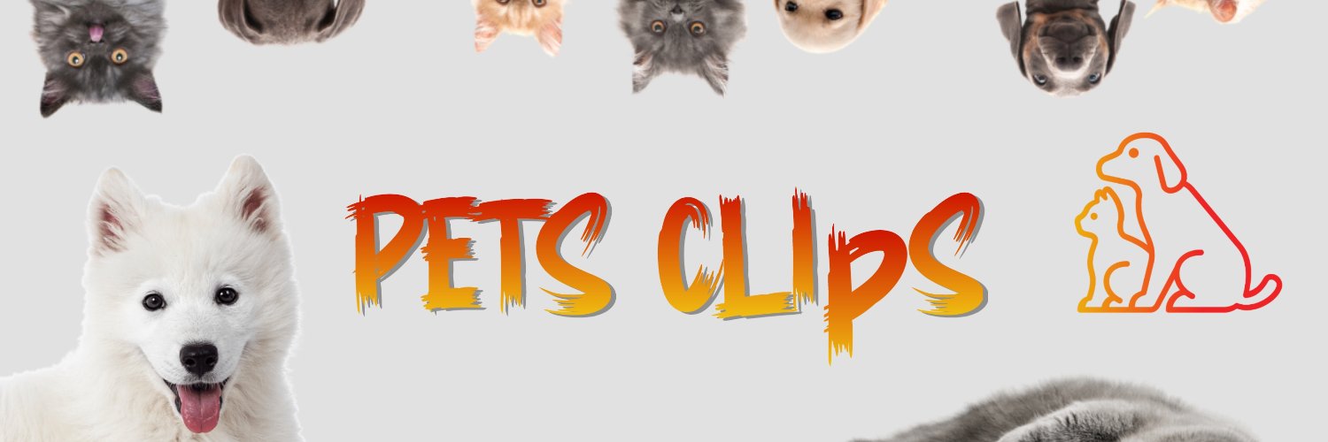 Petsclips's profile banner image
