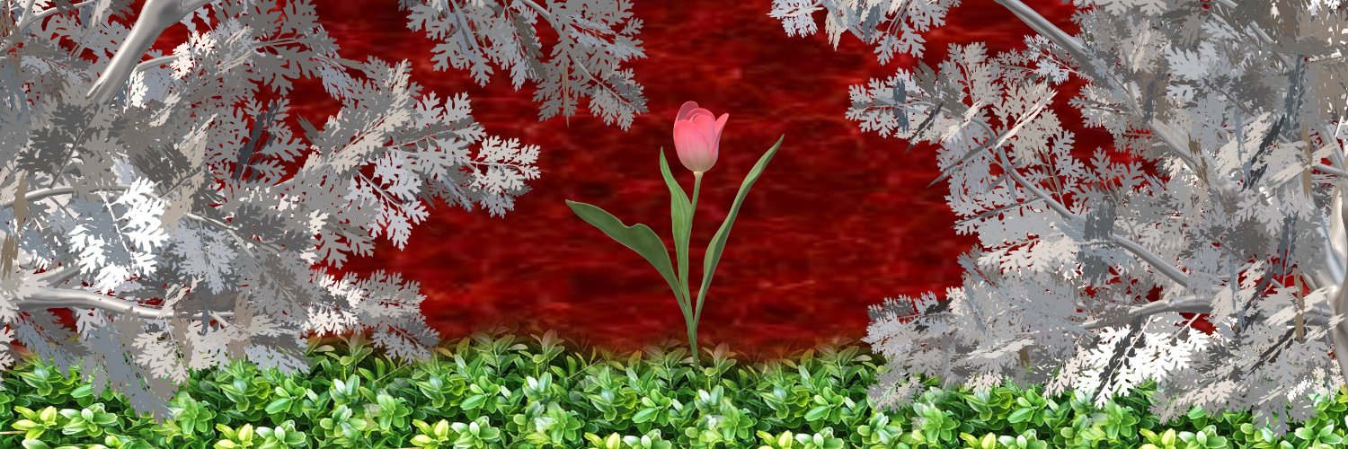 focuschloe's profile banner image