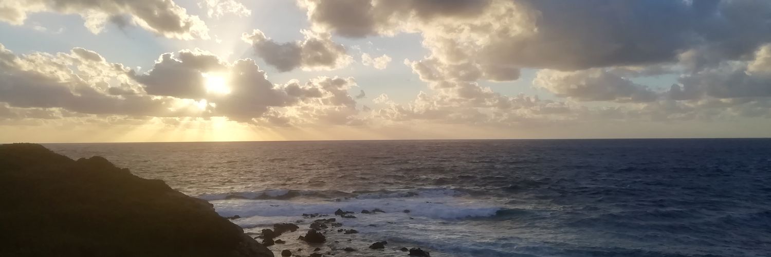 hagmax1's profile banner image