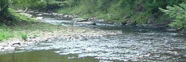 LeeBro Profile Banner