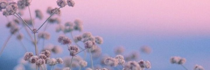Siciliaaa's profile banner image