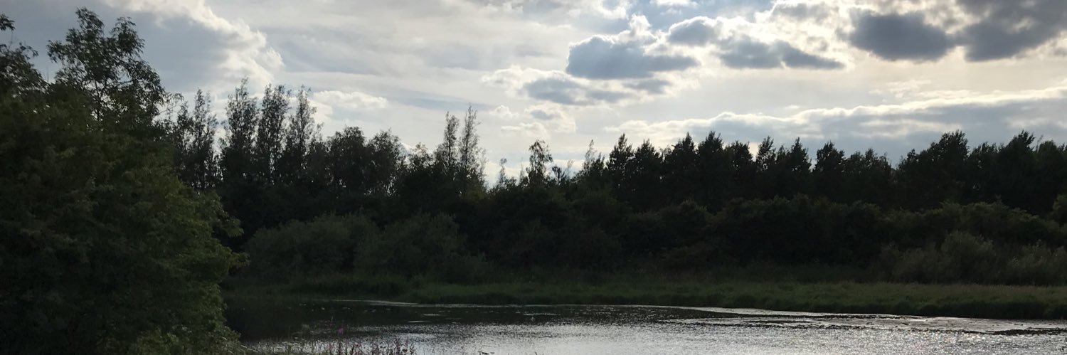 menoknow82's profile banner image