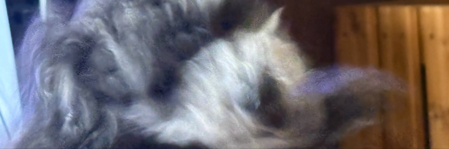 1025_0303's profile banner image