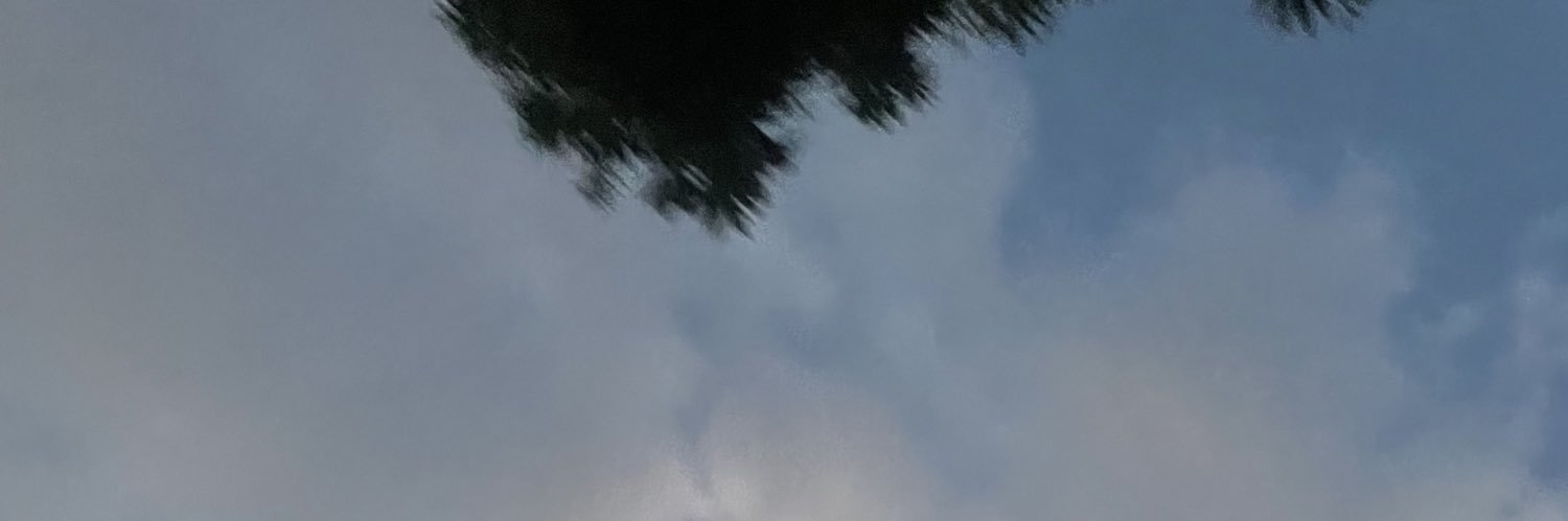 ejcalilap17's profile banner image