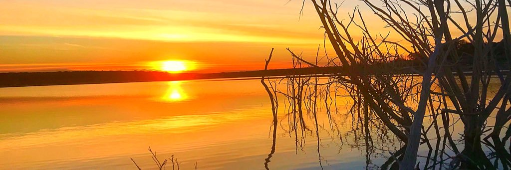 Collin_SFA's profile banner image