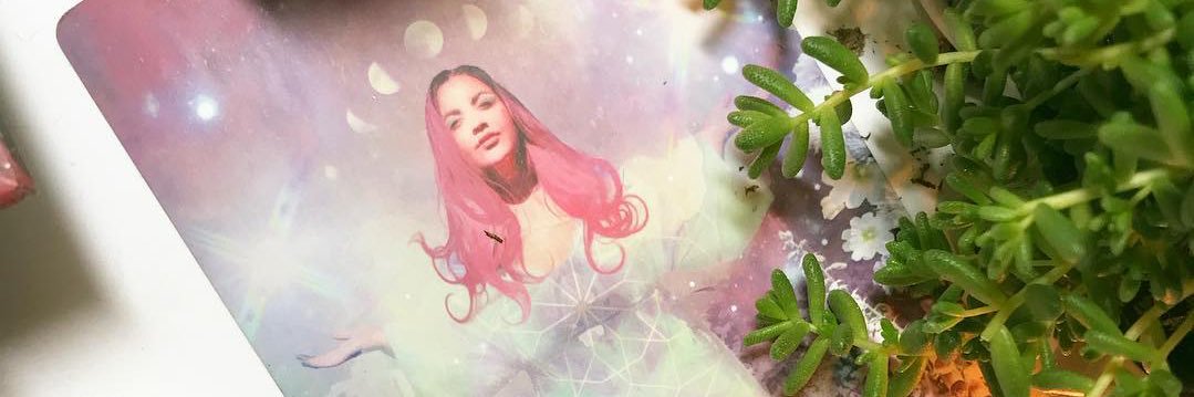 lafayuri's profile banner image