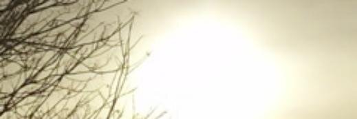 MECox banner