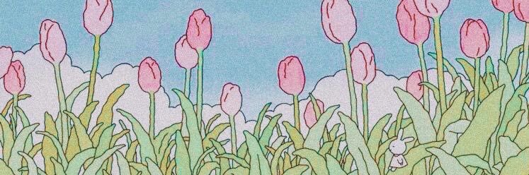 Laura ✨'s banner