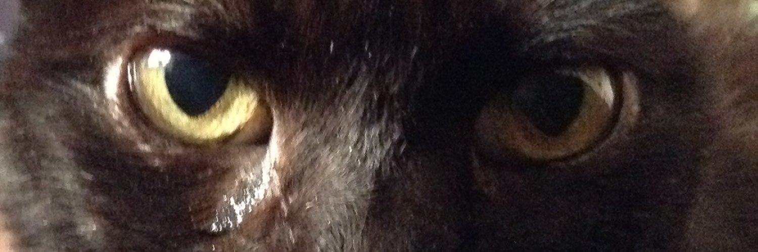 David Moriña Soler banner