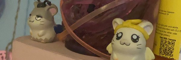 Venusdoomslayer Profile Banner