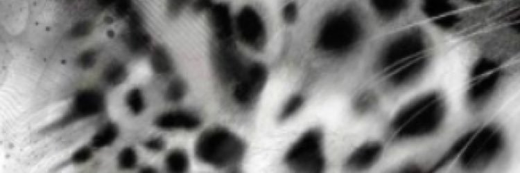 Afio0n's profile banner image