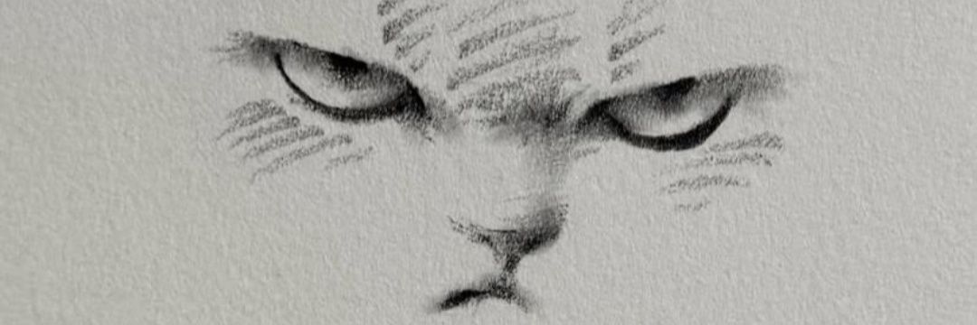 CarlosProfGeo's profile banner image