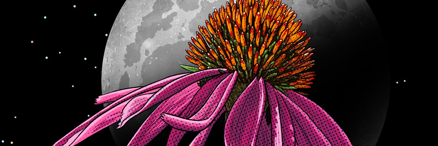 scott_mooney's profile banner image