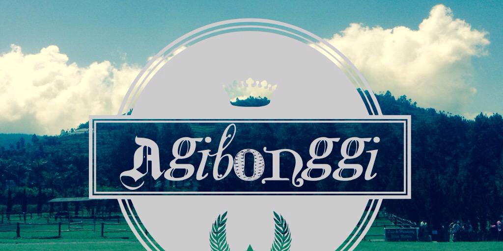 agibonggi's profile banner image