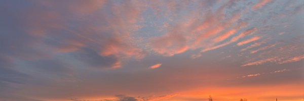 Jubbs_Nft Profile Banner