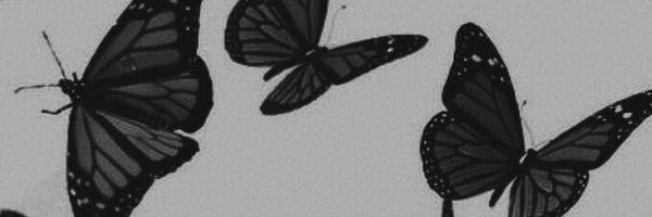 AleSwinger3's profile banner image