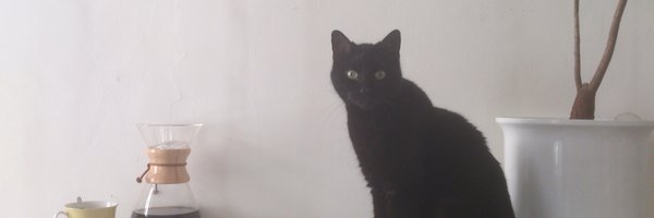 hoppydata Profile Banner