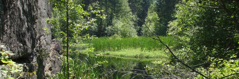 Ian Young is on Bluesky banner
