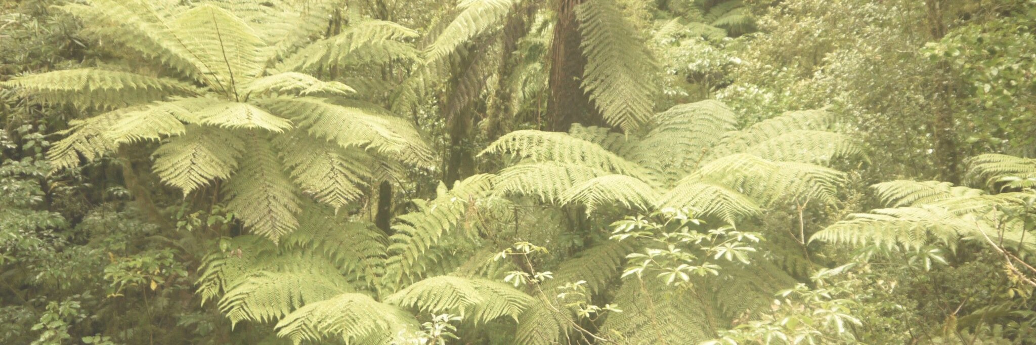 zitasl's profile banner image