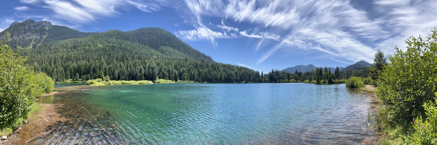 Gerald McAlister banner