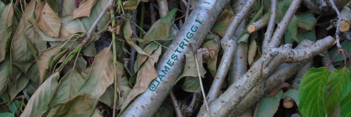JamesTrigg1's profile banner image