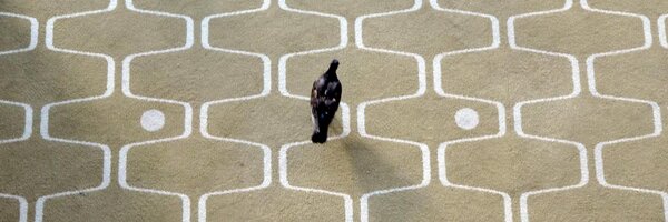 bitoclass Profile Banner