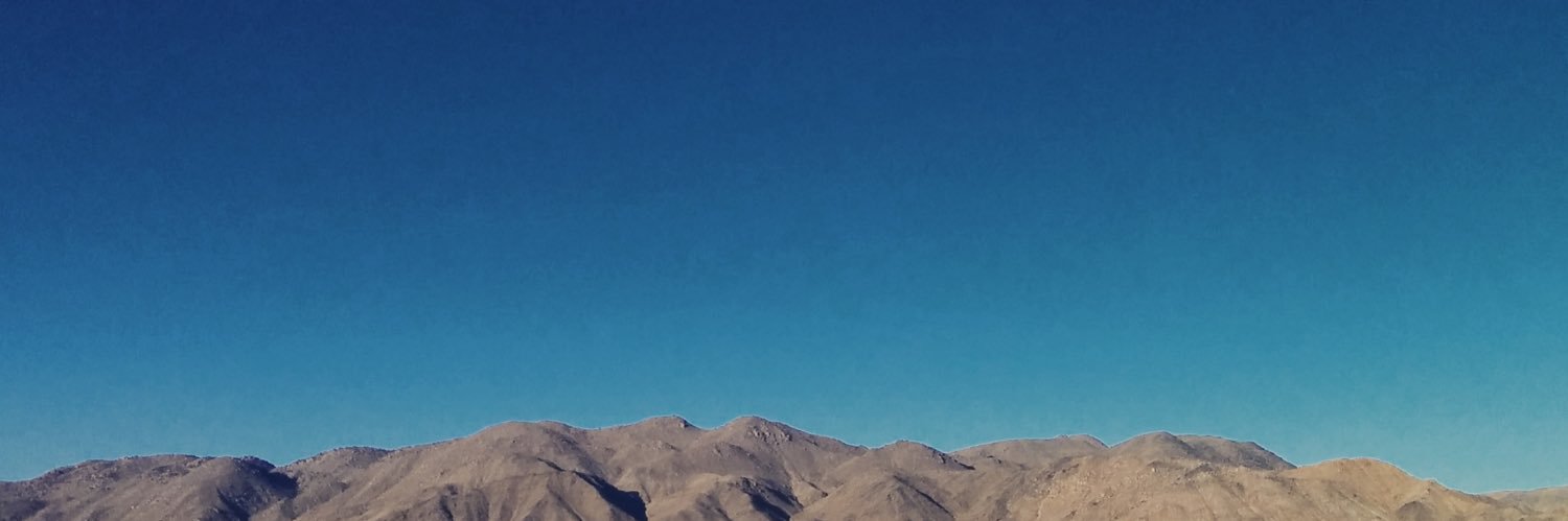 Roberta Carraro banner