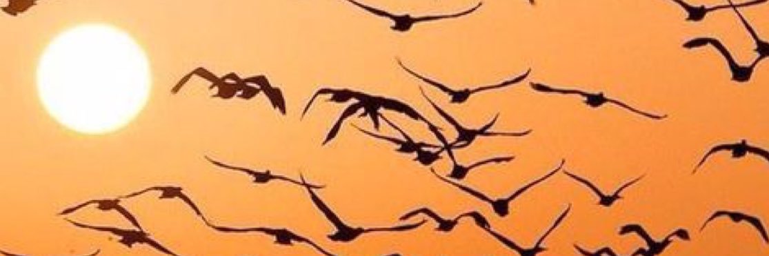 azucarmorena57's profile banner image