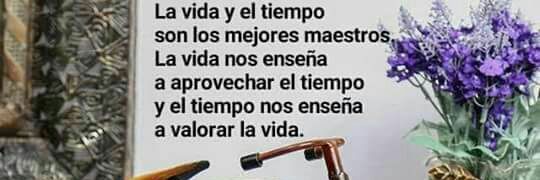 Alexisrhino97 banner