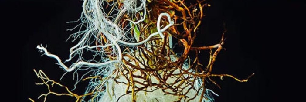 Pr0ject Climate Art banner