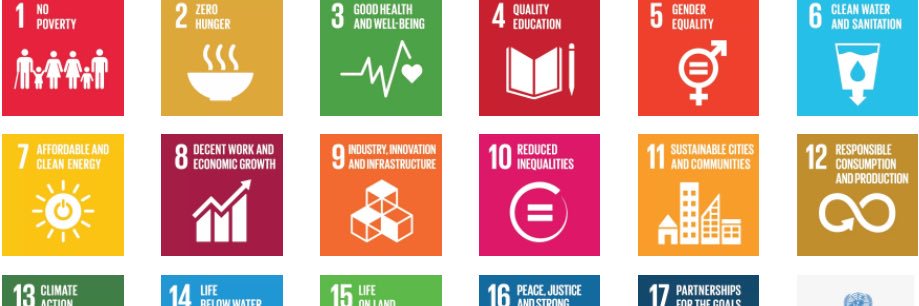 Jolanda Wijsmuller banner