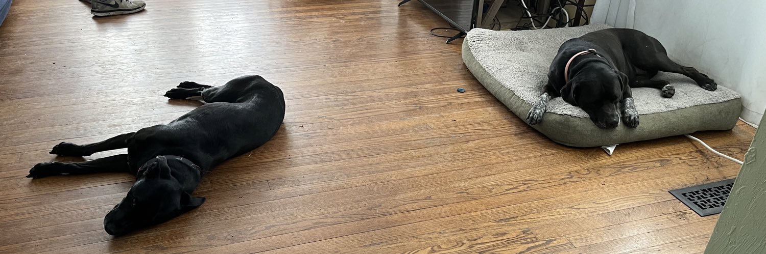 actiondan19's profile banner image