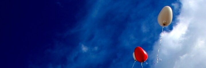 sucrefraise210's profile banner image