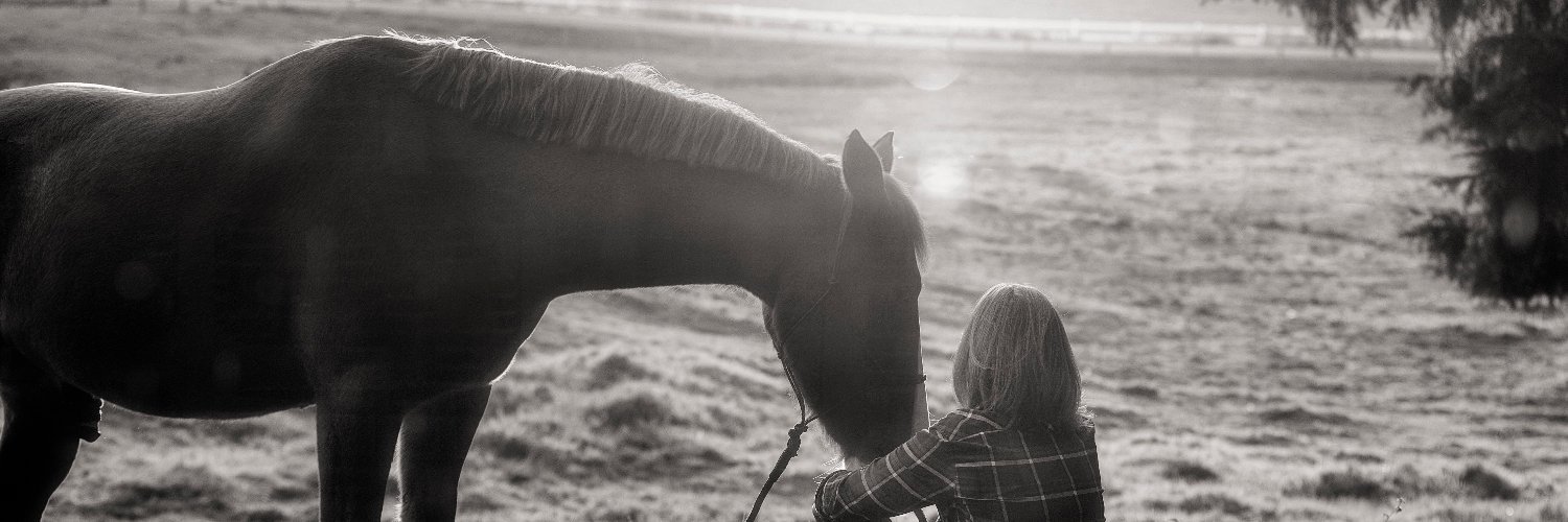 Brigid Johnson banner