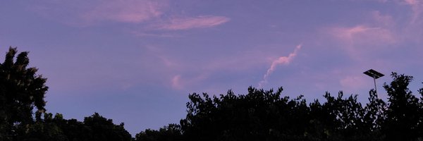srummanf Profile Banner