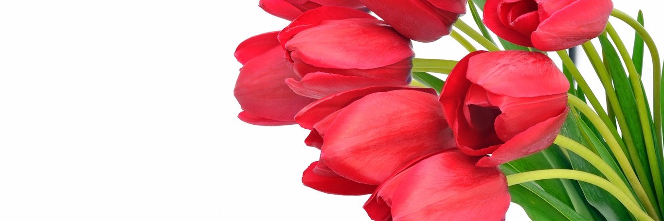 alauramtz's profile banner image